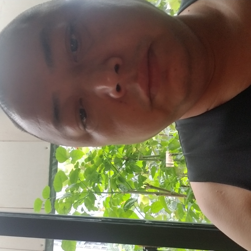 寒冷小白菜的照片