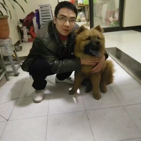 舒适浅吻蓝天的照片