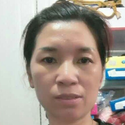 洋露冬菊的照片