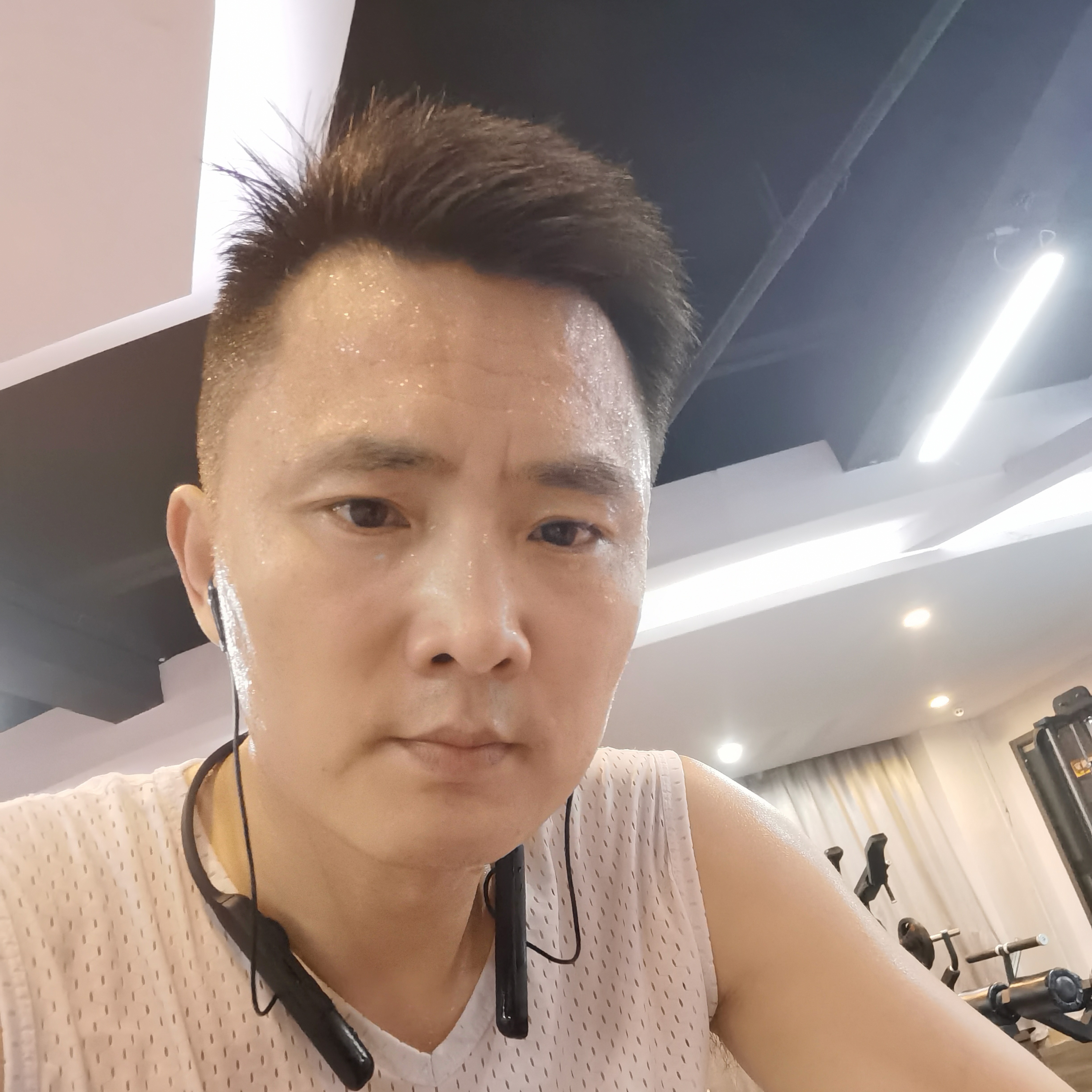 大 漠 孤 鹰的照片