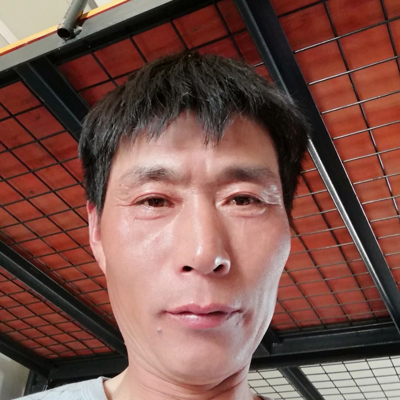 南鸢保卫高贵的照片