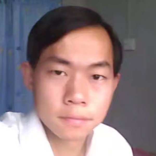 菩提树1的照片