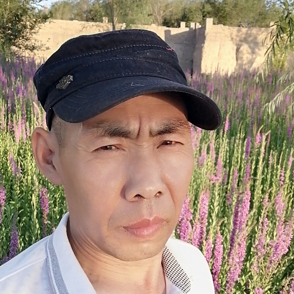 豌豆与绚烂的照片