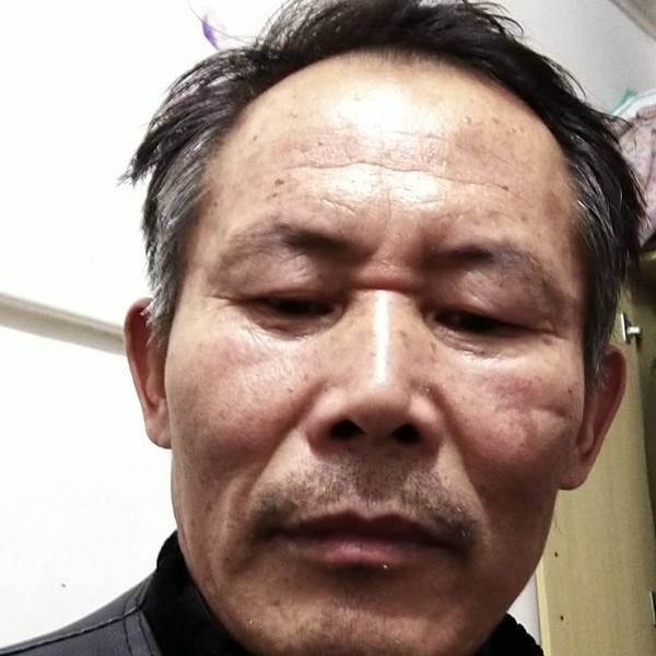 无奈大象的照片