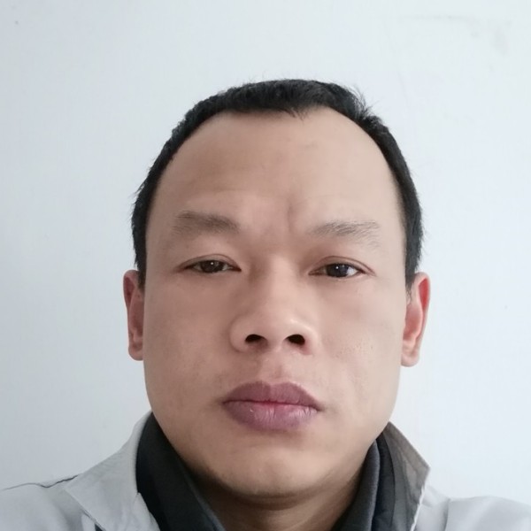 大雁积极的照片