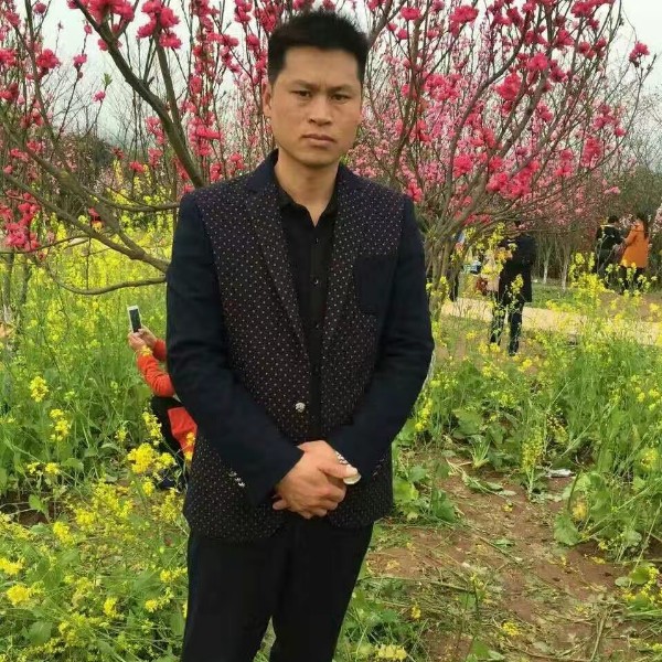 寻    觅的照片