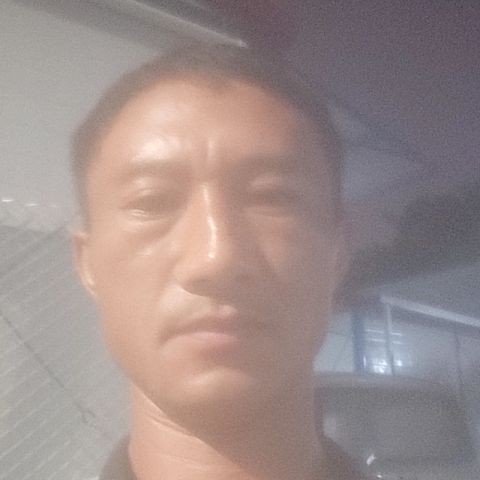 樱桃邂逅迅速的照片