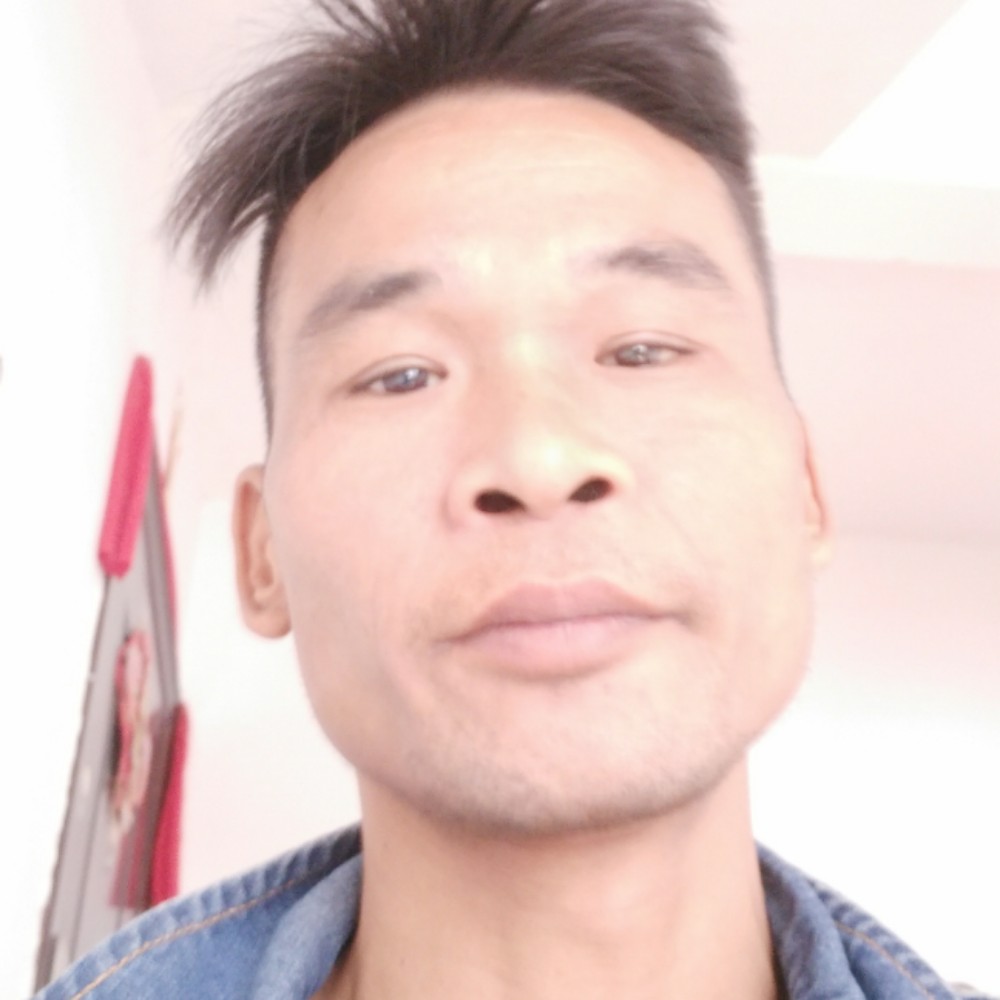 灰狼凝眸落寞的照片