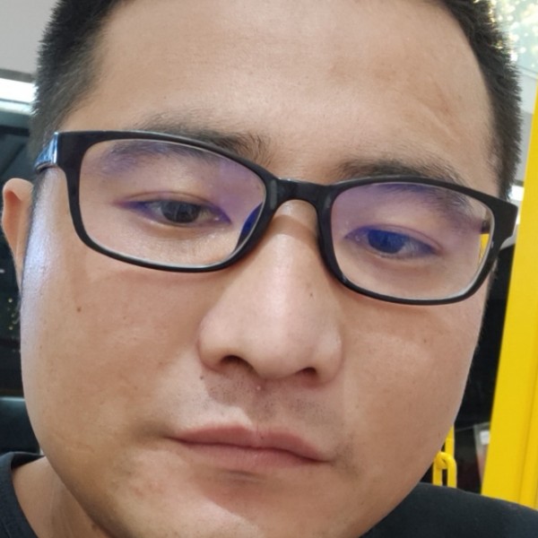 风趣爱恋白猫的照片