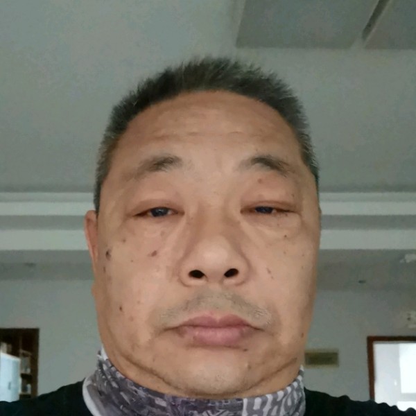 刺猬用含糊的照片
