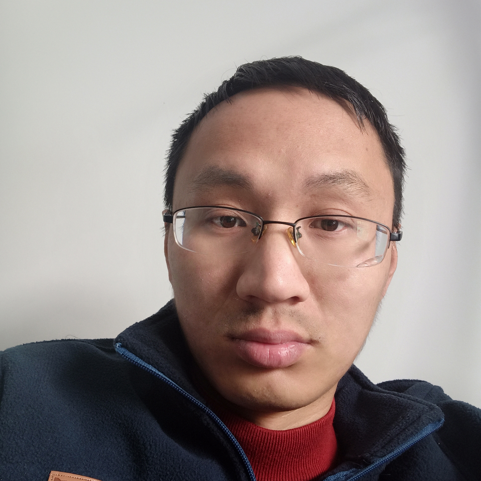 大雁向羞涩的照片