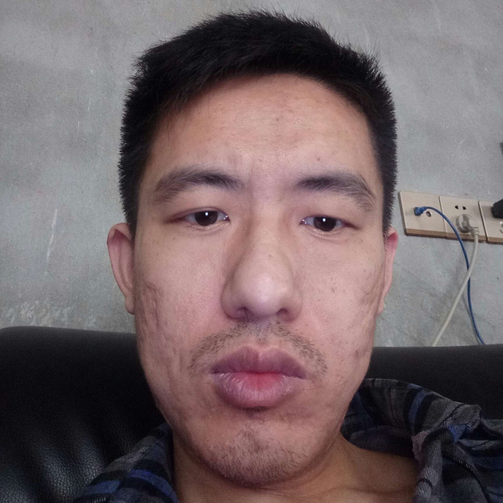 蚂蚁外向的照片