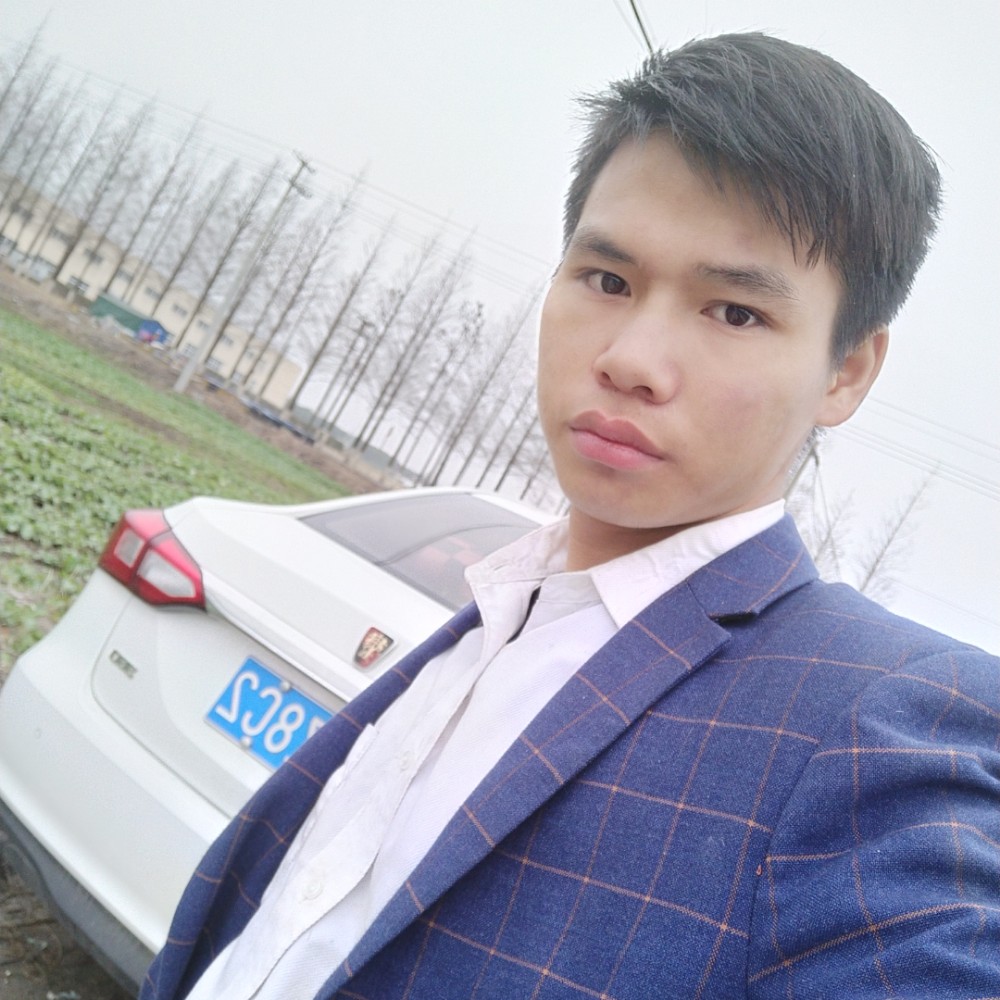 现代小松鼠的照片