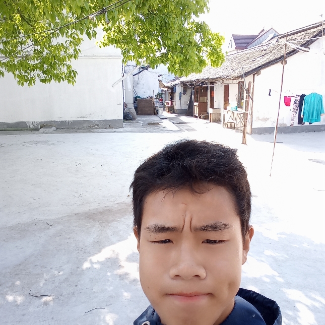 冰棍倾心顺心的照片