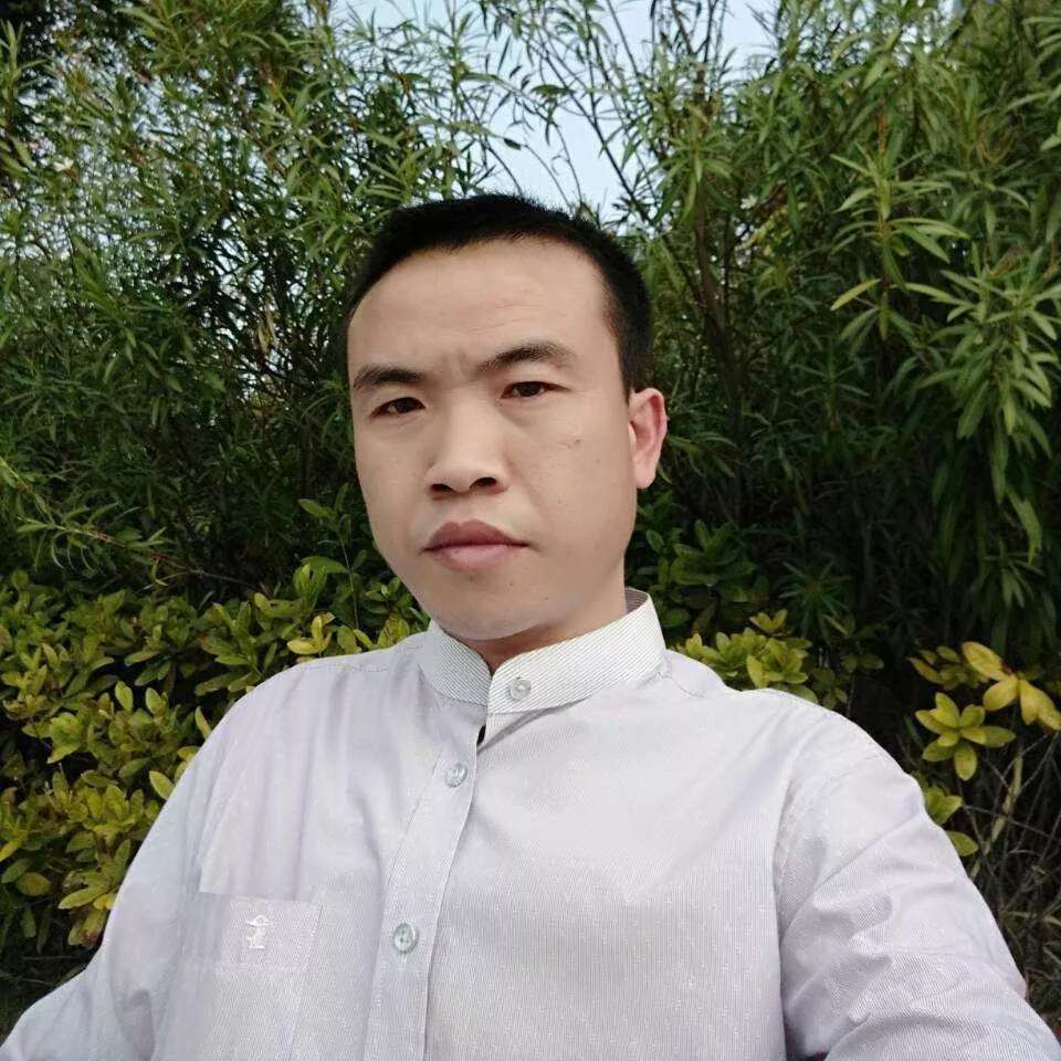 梦鹰的照片