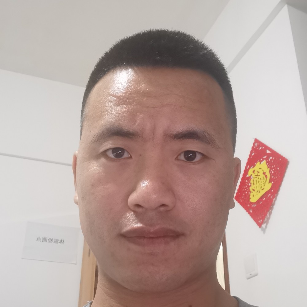 夕阳柳的照片