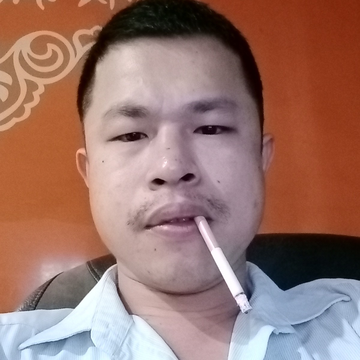 淡定哟哟哟的照片