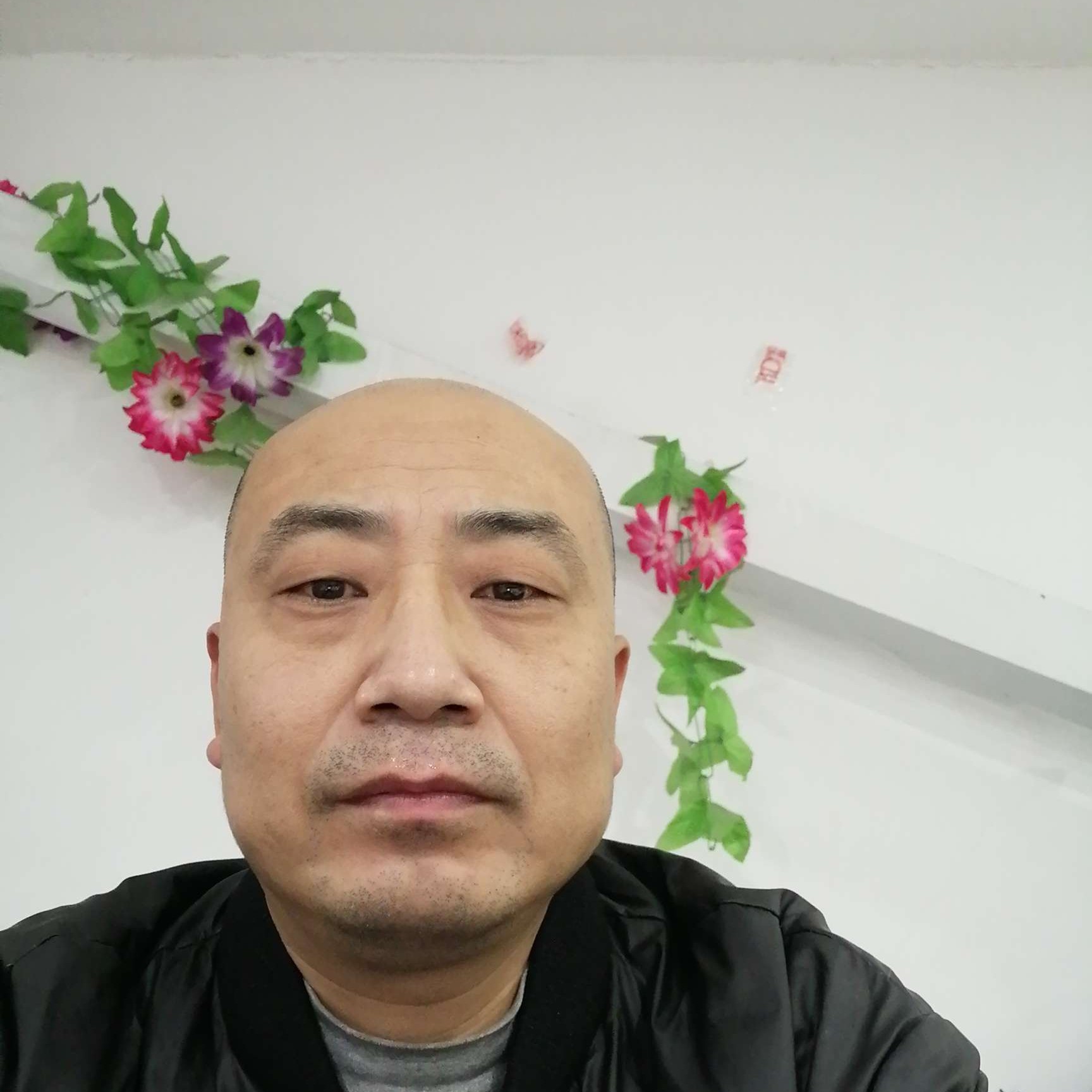 土豆白菜的照片