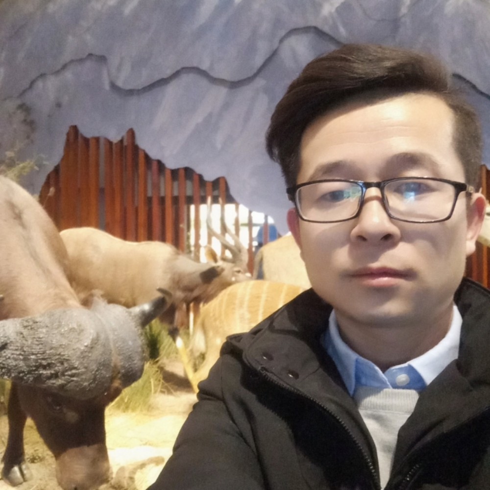 归舟放鹤的照片