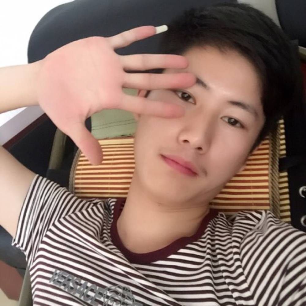 善良的小海豚的照片