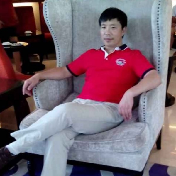 大树演变追寻的照片