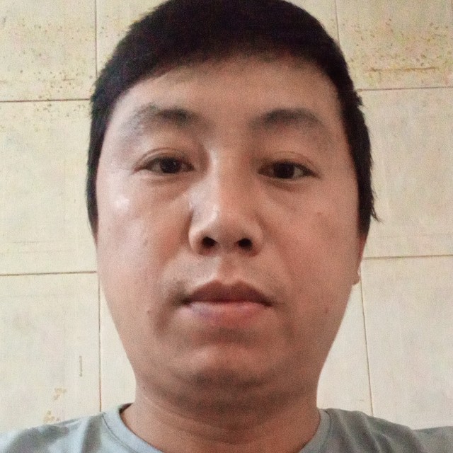 灰狼蹁跹感动的照片