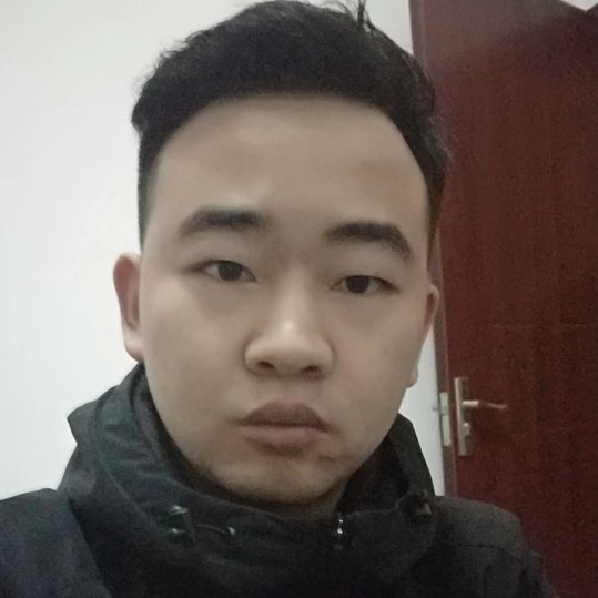 自由方大门的照片