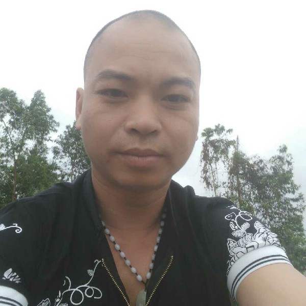 滴水琴声的照片