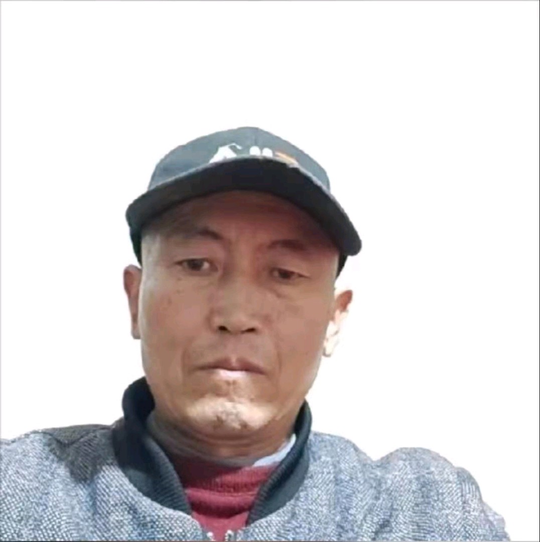 洋葱踢勤劳的照片