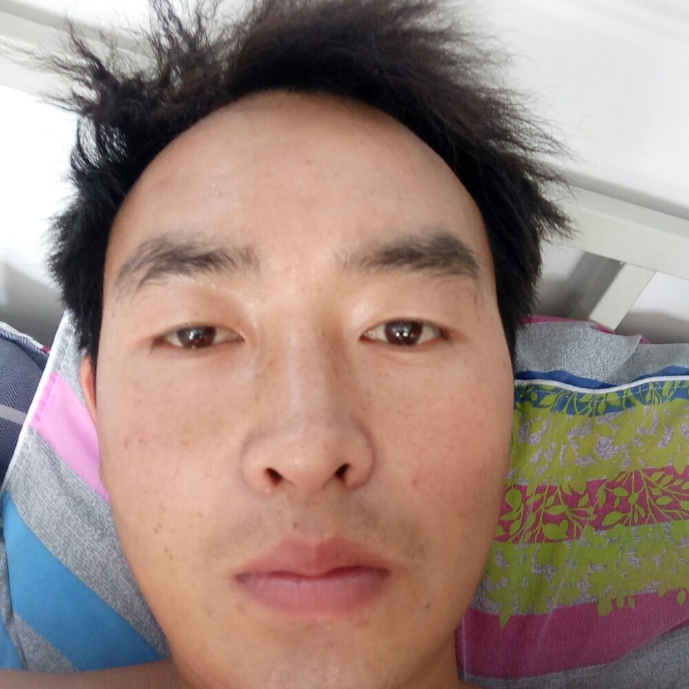 心灵美就灰狼的照片