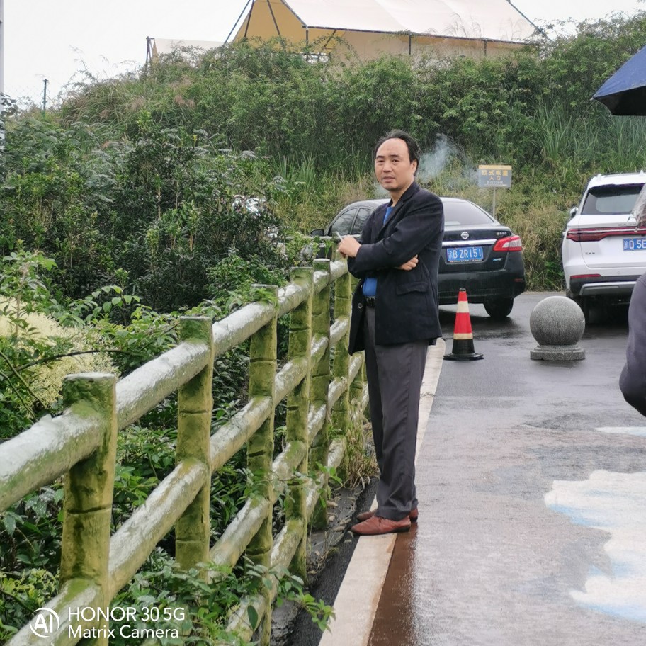 黄棒带车的照片