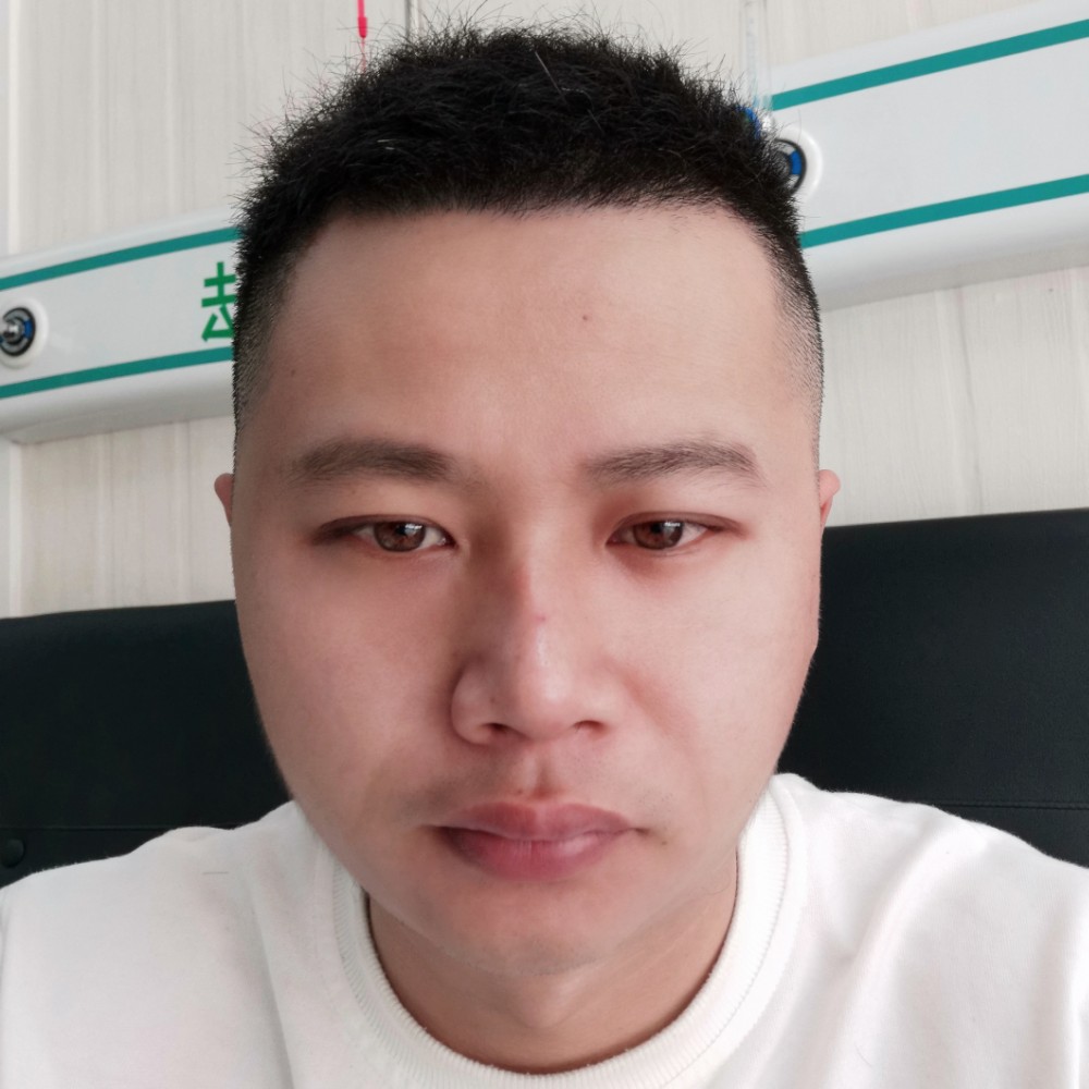 爱的森林的照片