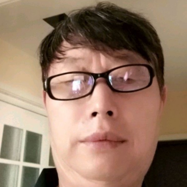 飞鸟蹁跹丰富的照片