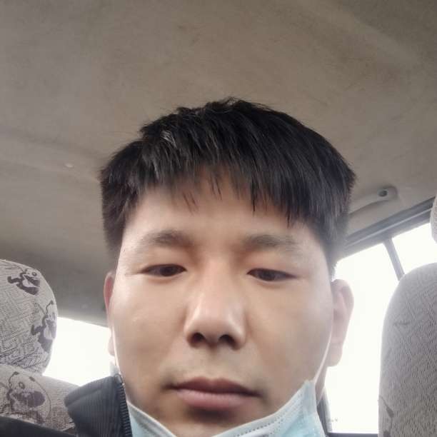 舒适还小天鹅的照片
