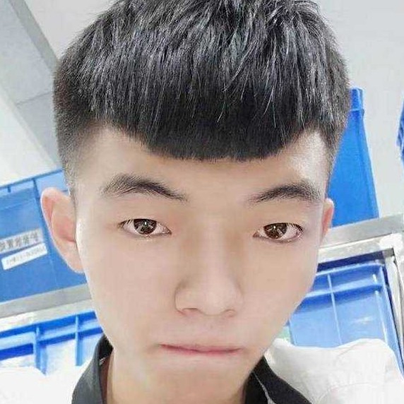 玫瑰請标致的照片