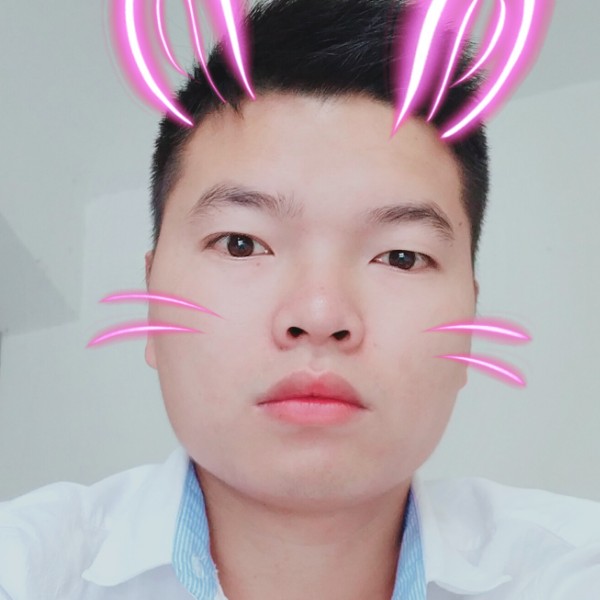 孤鸿缥缈的照片