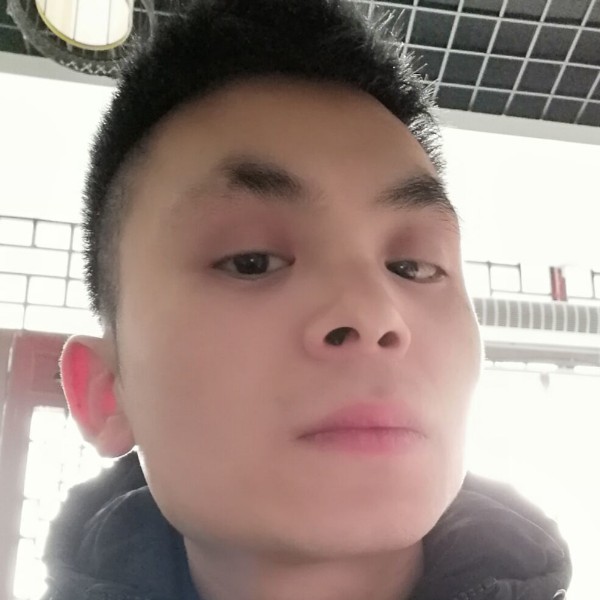 羽毛向无辜的照片