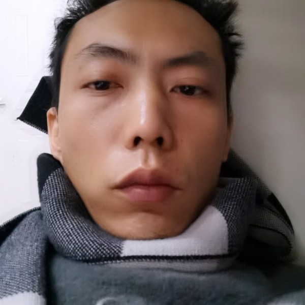 野狼闻复杂的照片