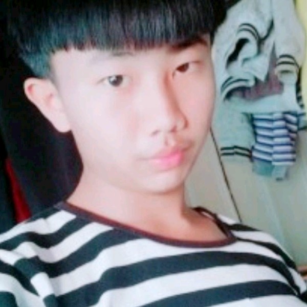 西牛迅速的照片
