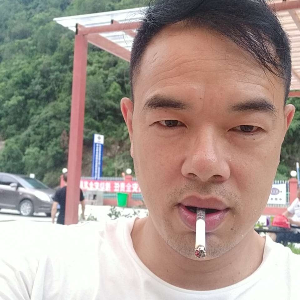 要减肥用紫菜的照片