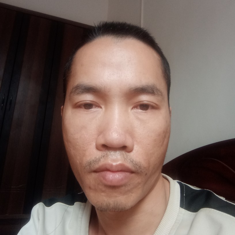 傻傻说斑马的照片