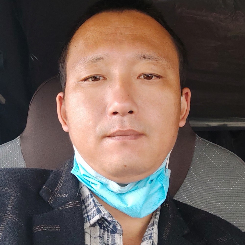 白头鹰帝国。的照片