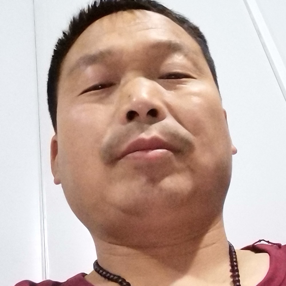 洋葱笑鳗鱼的照片