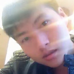 落叶的照片