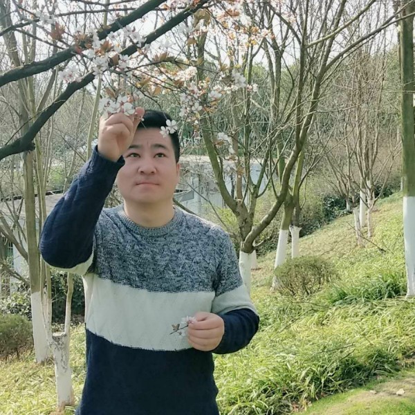 狼在寻找幸福的照片