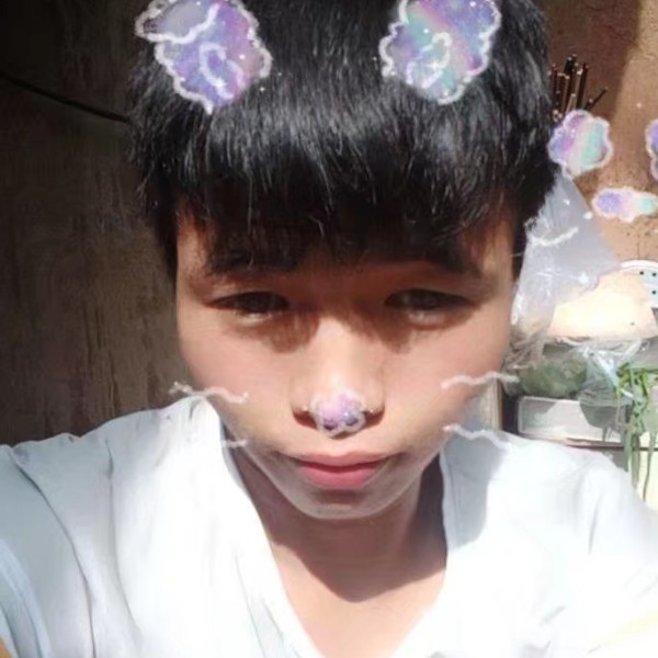 平凡一生去的照片