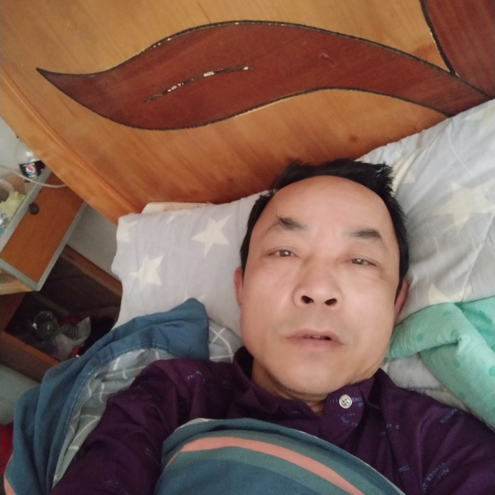 黄蜂浮生的照片