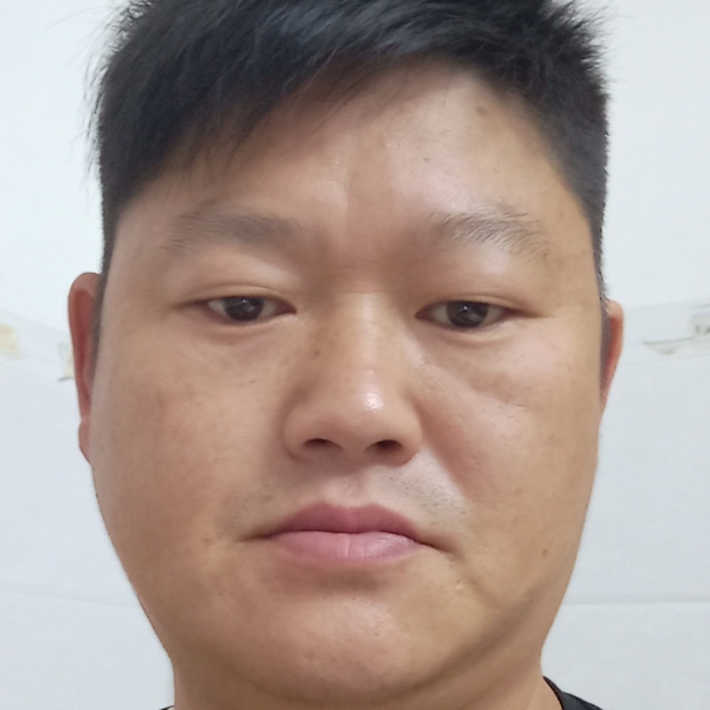 豆芽与快乐的照片