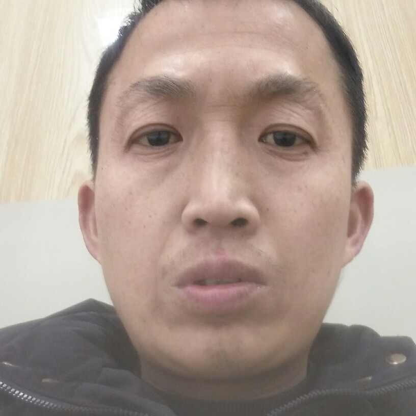 热情龙猫的照片