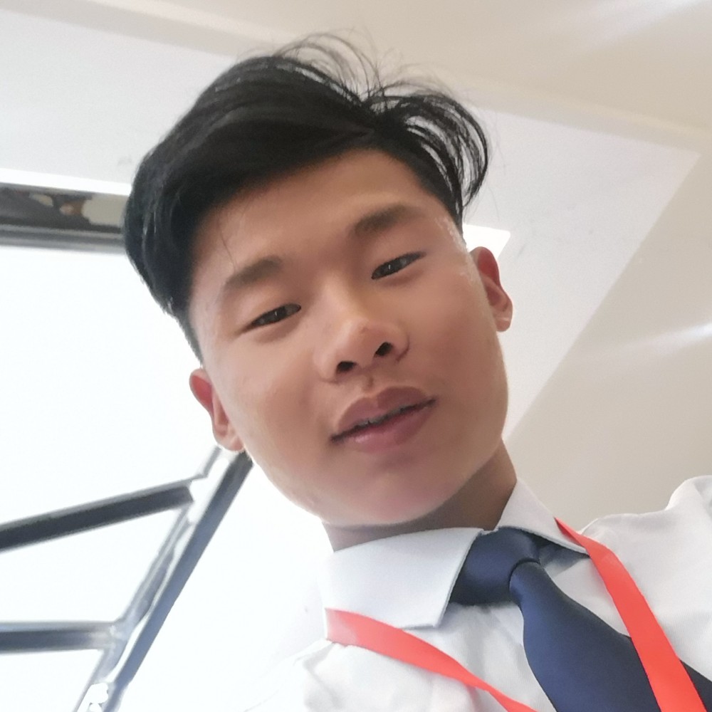 活泼漫步小熊猫的照片